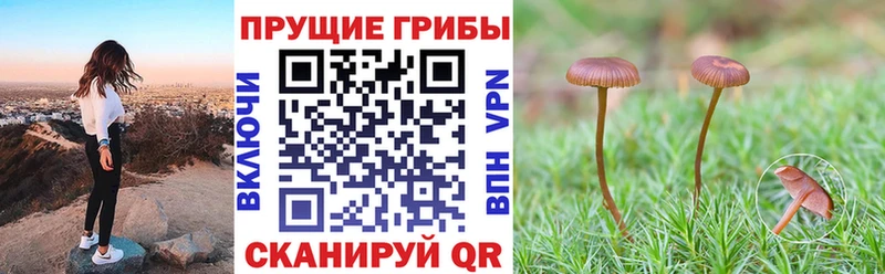 Галлюциногенные грибы Cubensis  Ишим 